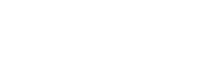 Intcomex logo